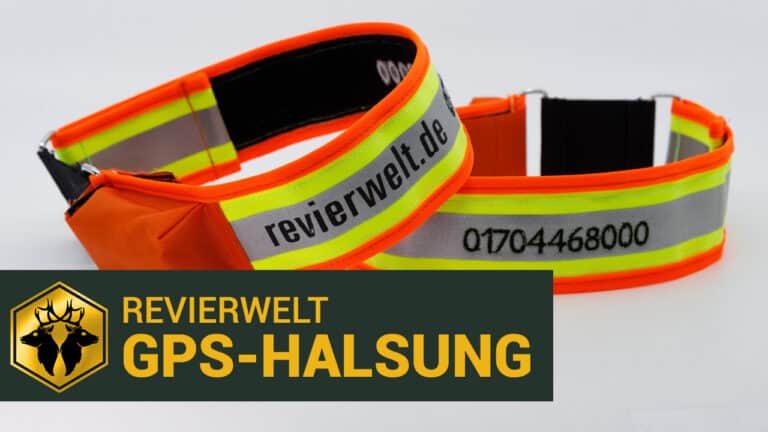 REVIERWELT GPS-Hundehalsung
